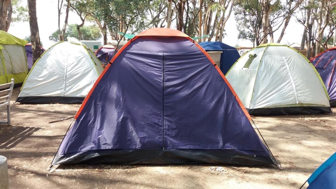 Camping Drepanos 伊古迈尼察 外观 照片